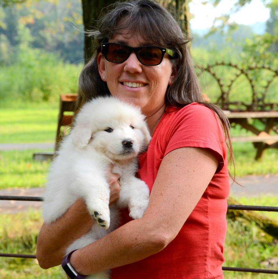 Lacey Female Great Pyrenees