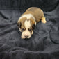 Bowser Male Great Bernese Puppy week 2 
