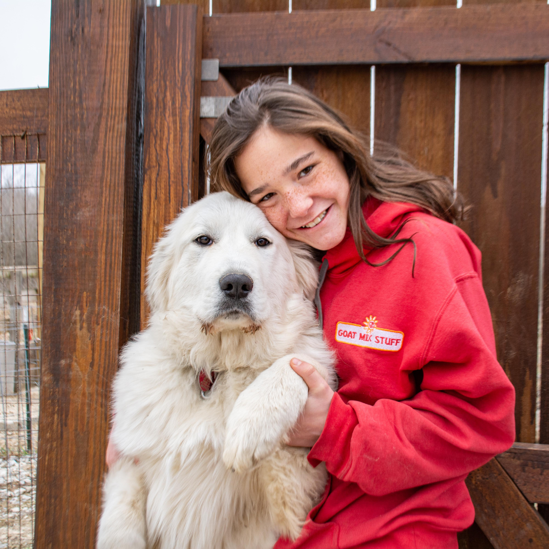 great pyrenees and jade