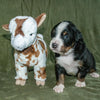 Lancelot a Male Bernese Mountain Dog Puppy Camelot January With Stuffed Animal Baby Goat Toy
